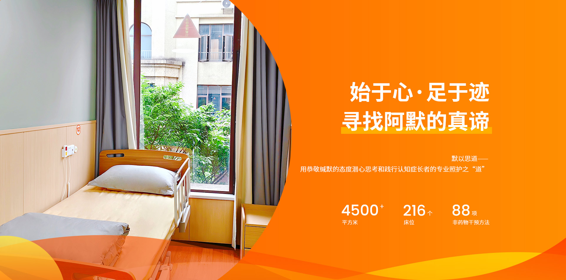 關于阿默